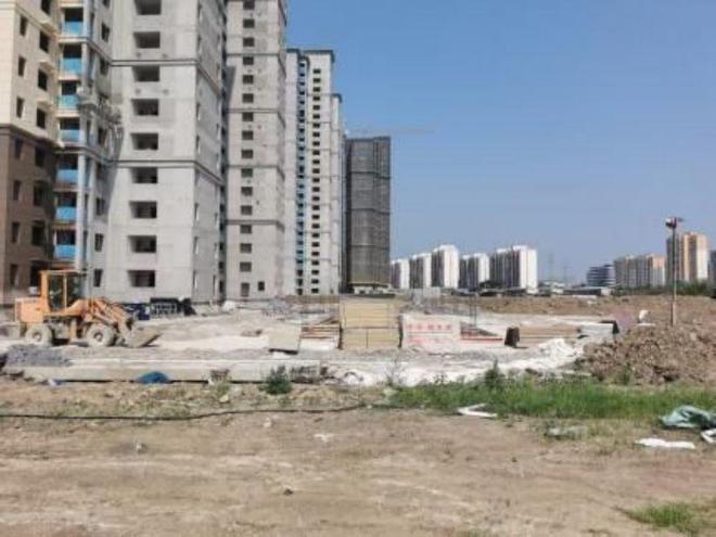 荊州農高區(qū)最新動態(tài)，引領農業(yè)現(xiàn)代化新篇章