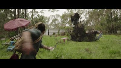 自然共舞的心靈之旅，最新狗狗電影鼓舞人心