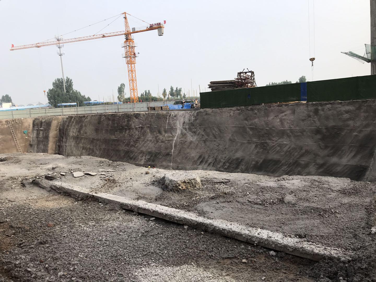 鵬洲麗城最新動態(tài)揭秘，小巷中的隱藏瑰寶