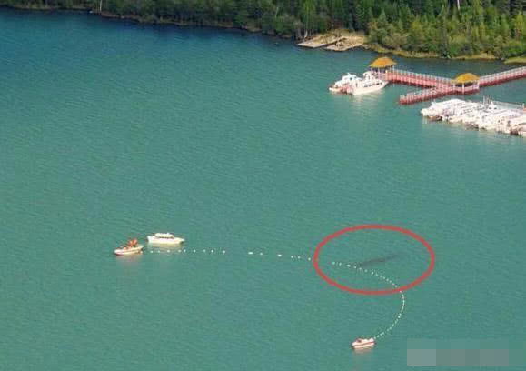 喀納斯湖水怪真相揭秘，探尋神秘之旅的心靈平靜之路