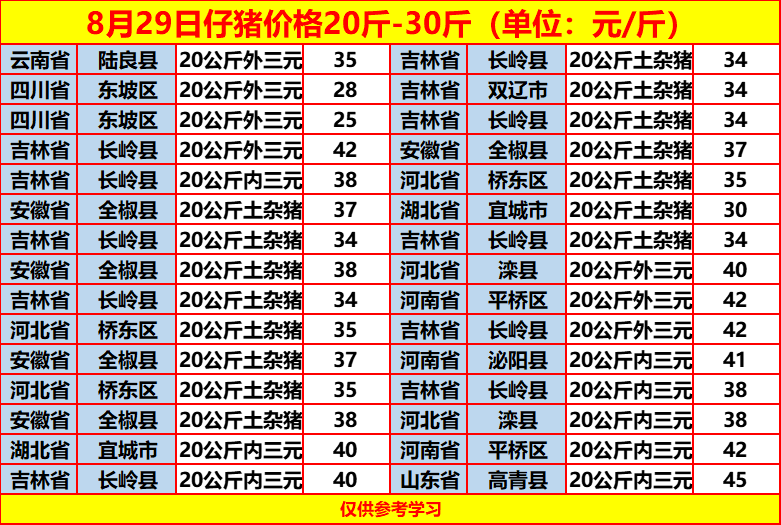土雜豬最新價(jià)格動(dòng)態(tài)，一場(chǎng)尋找內(nèi)心平靜的旅程