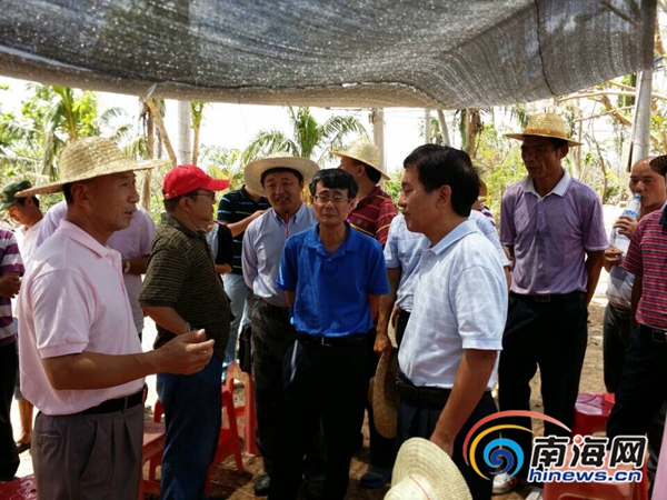 海南朱華友的最新動(dòng)態(tài)，成就概覽與未來展望