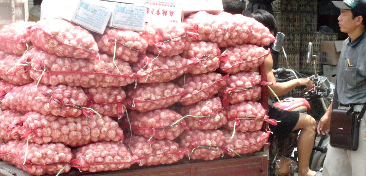 金鄉(xiāng)縣大蒜最新價格揭秘，小巷深處的蒜香寶藏