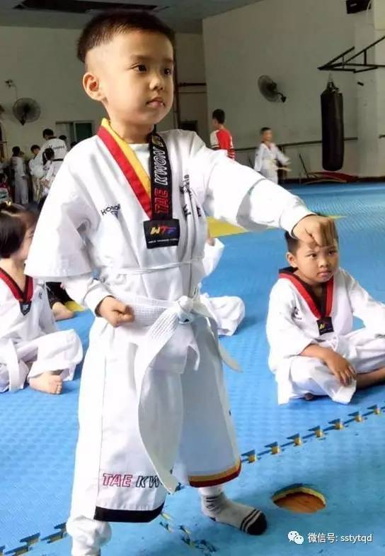 最新跆拳道上課流程，自信與成就感的源泉