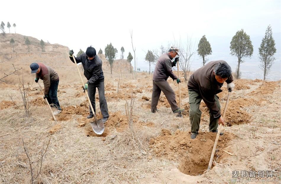 天水成紀新城，與自然美景的邂逅，探尋內(nèi)心平和之旅的最新動態(tài)